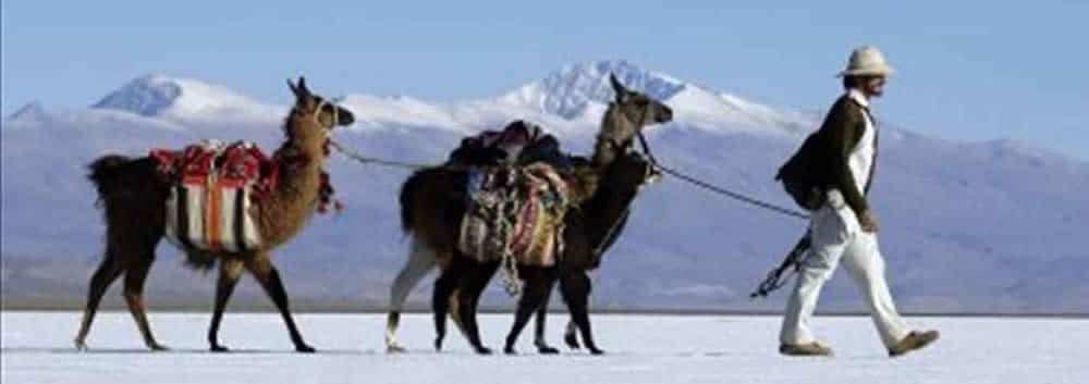 Puna, Jujuy, Argentina