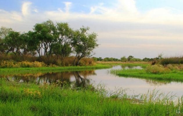 Reserva Natural Diamante Entre Ríos