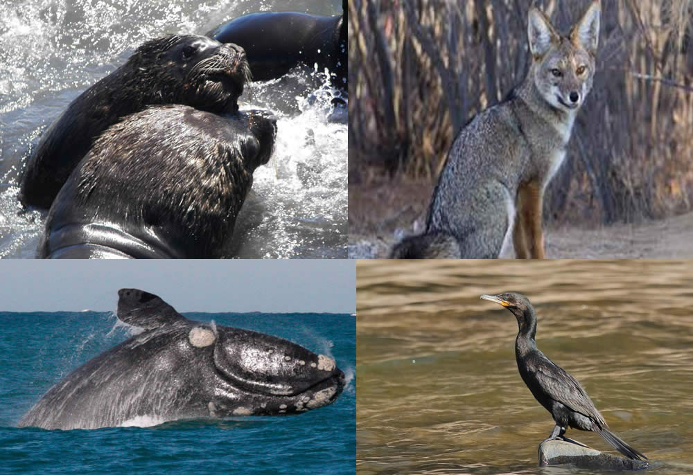 Sierra Grande, Rio Negro, Argentina Sierra Grande, Rio Negro, Argentina