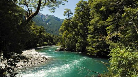 Parque Nacional Los Alerces, Chubut, Argentina