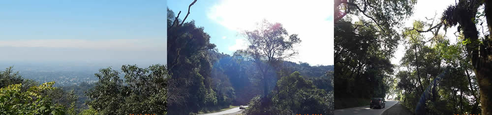 San Miguel de Tucuman, Tucuman, Argentina