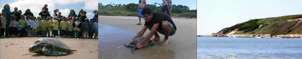 La Paloma, Rocha, Uruguay