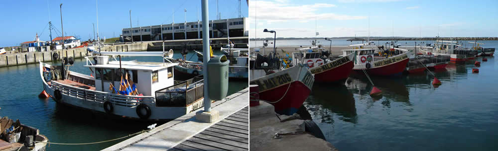La Paloma, Rocha, Uruguay