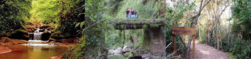 Parque Nacional Calilegua, Jujuy, Argentina