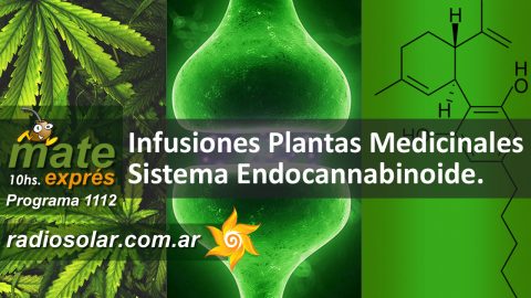 infusiones sistema endocannabinoide